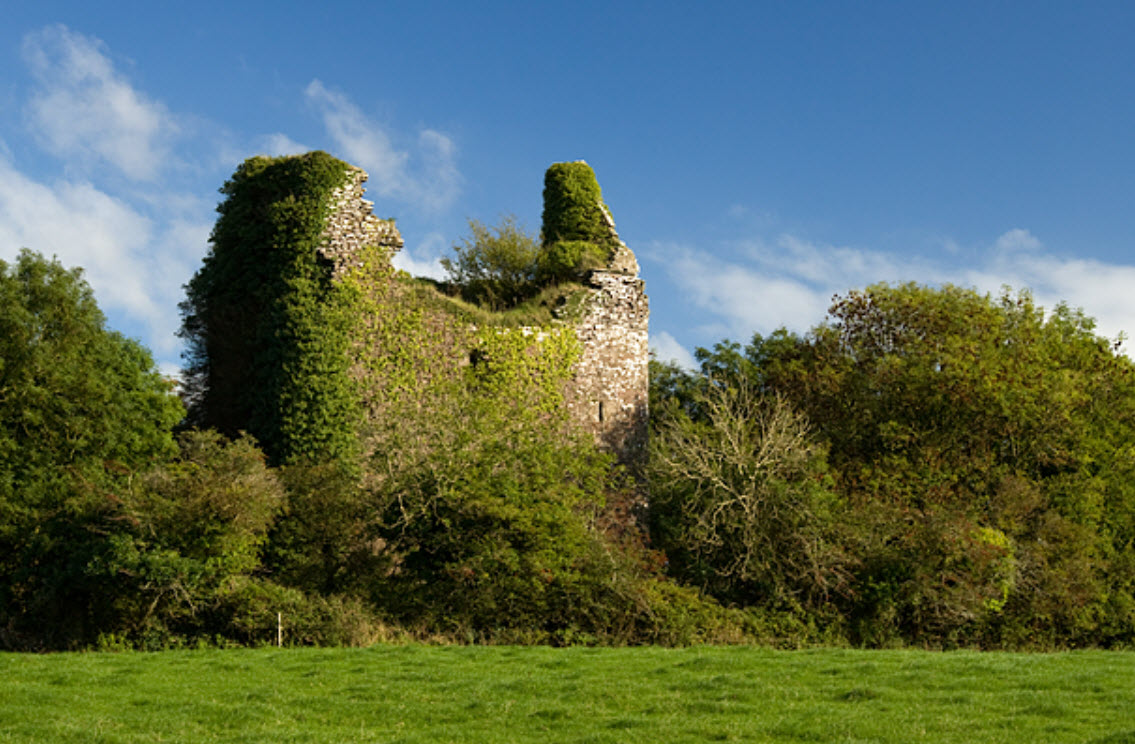 Castle Cooke, Ireland